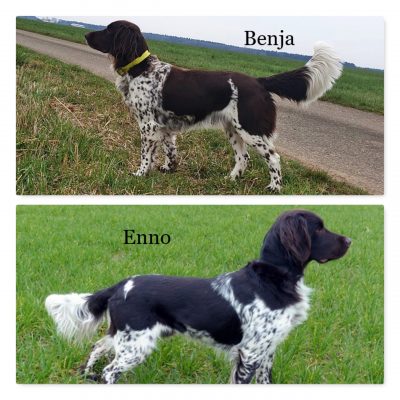 benja x enno_2026